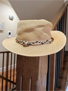Aritzia Talula Straw Fedora Hat